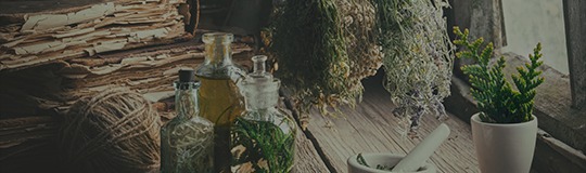 Episode 4: Healing Herbs & Sacred Medicine