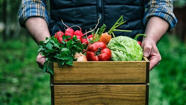 Module 2: Nutrition in the 21st Century