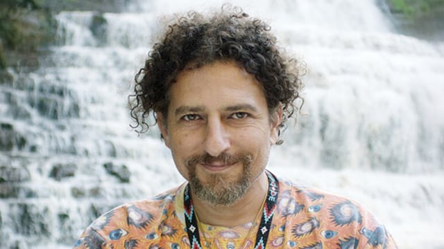 David Wolfe