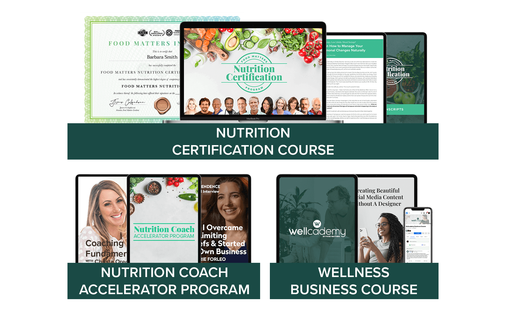 Nutrition Certification & Online Business Program