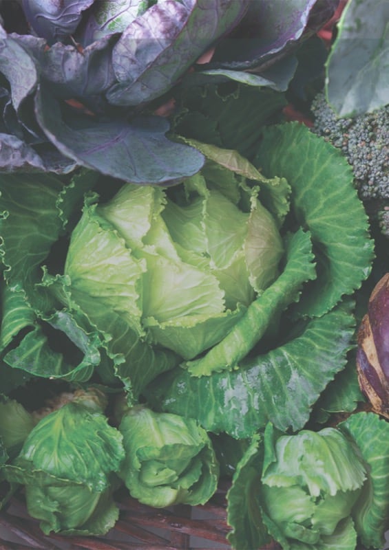 Cert Workbook Preview 12