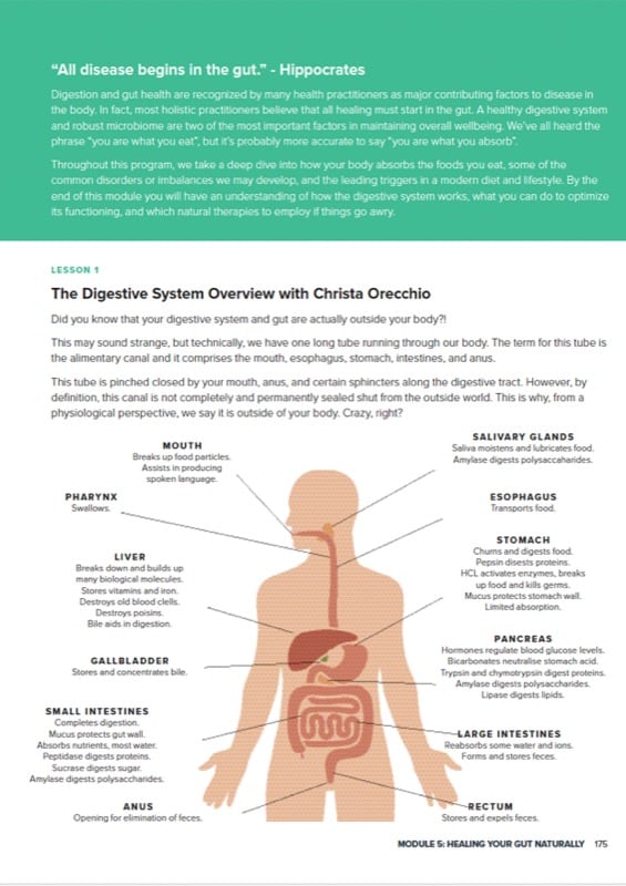 Cert Workbook Preview 16