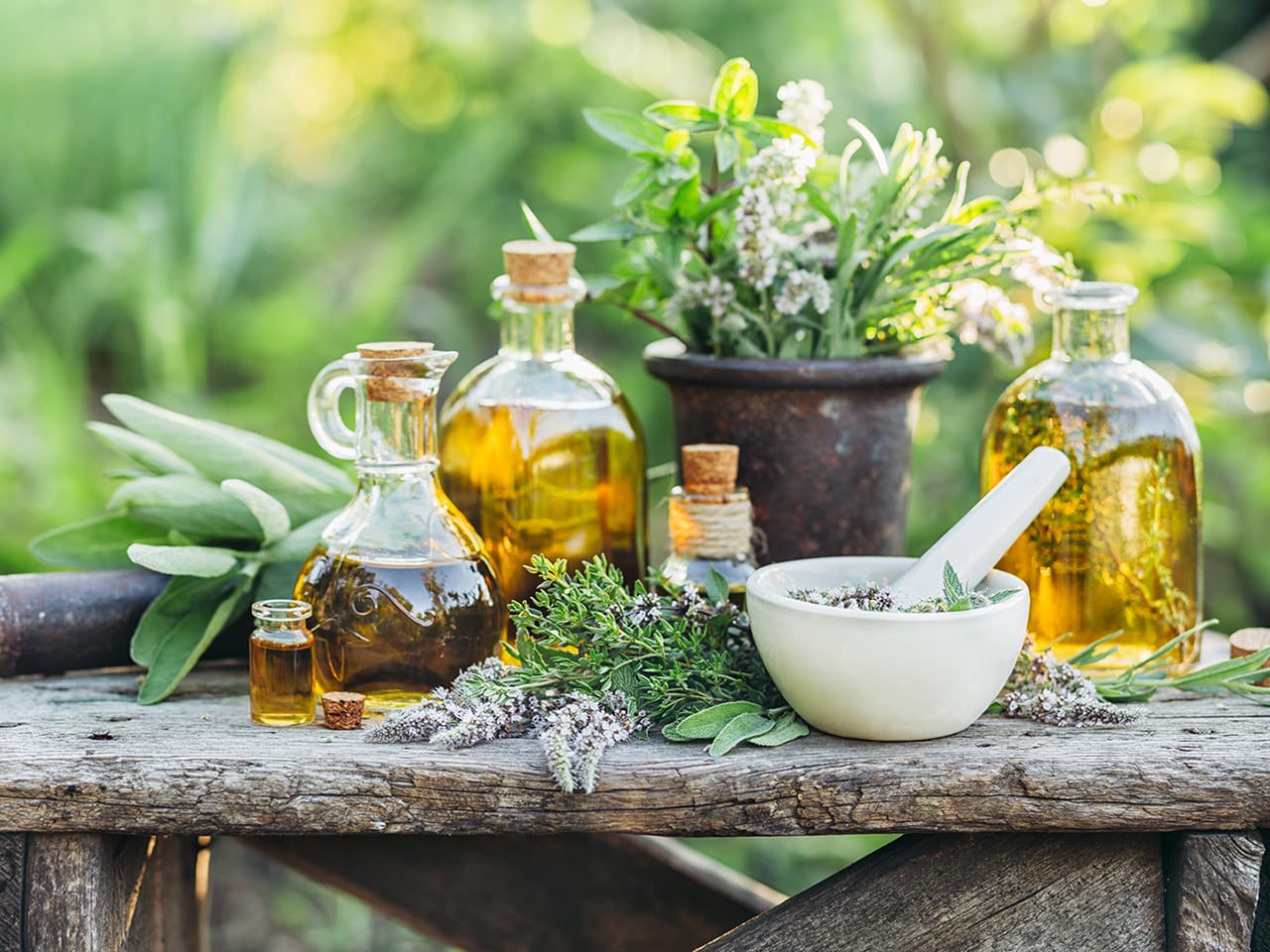 Using Plants as Medicine