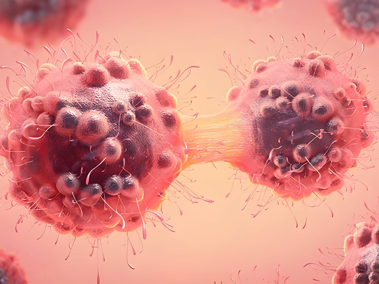 Understanding Chronic Disease & Cancer