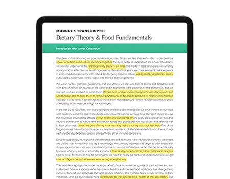 Easy to Follow Lesson Transcripts