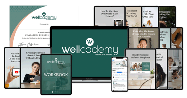 Wellcademy Business Course